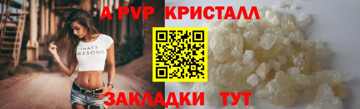 APVP СК Электрогорск