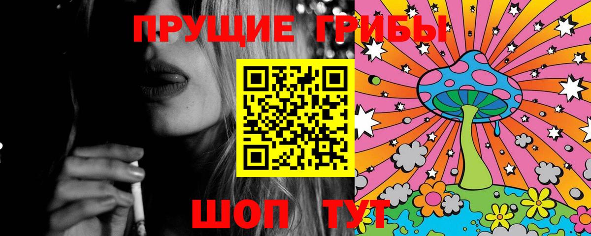 Электрогорск  Псилоцибиновые грибы Magic Shrooms  Псилоцибиновые грибы Magic Shrooms  закладки  Вход с VPN 