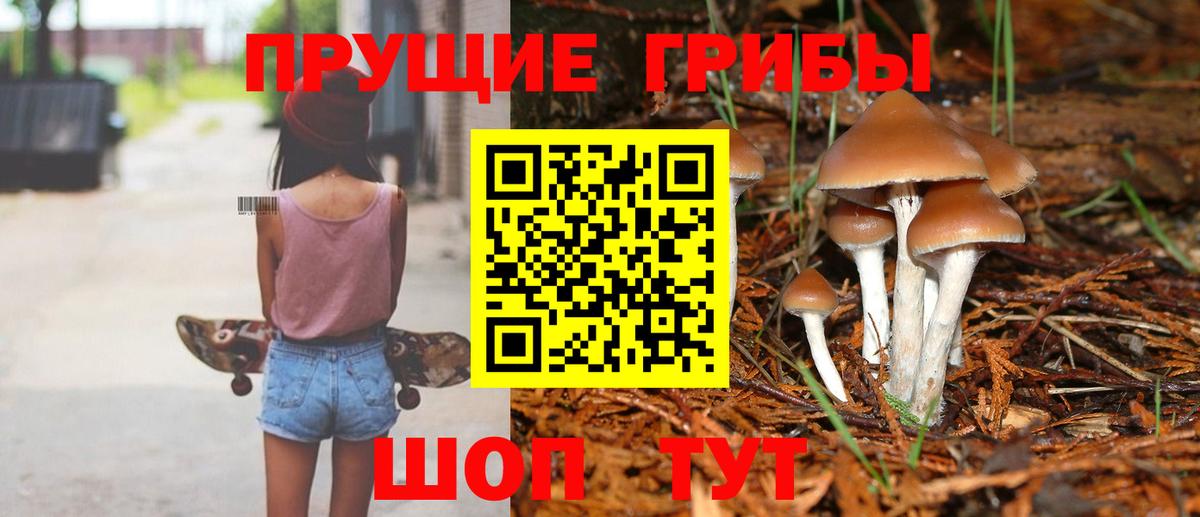 Галлюциногенные грибы мухоморы Электрогорск