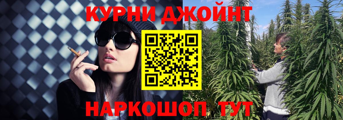 Канабис LSD WEED  Шишки марихуана тримм  Электрогорск  Бошки марихуана план  Вход с VPN 